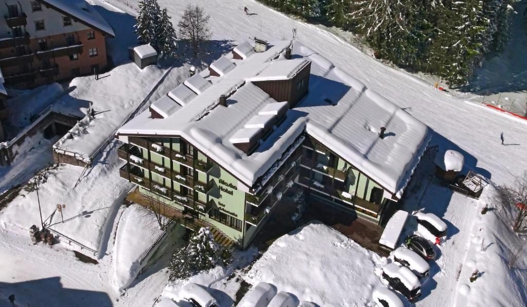 Hotel Alaska Folgarida - Folgarida - Vacanzelike