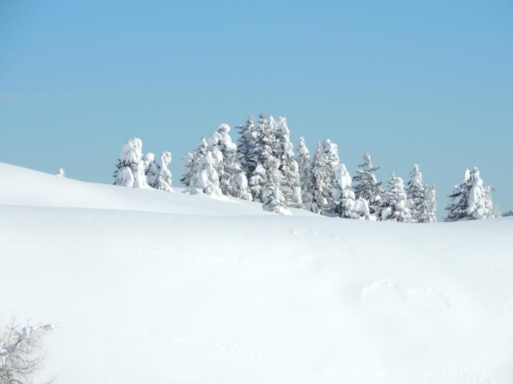 Hotel Eden Tonale - Passo del Tonale - Vacanzelike