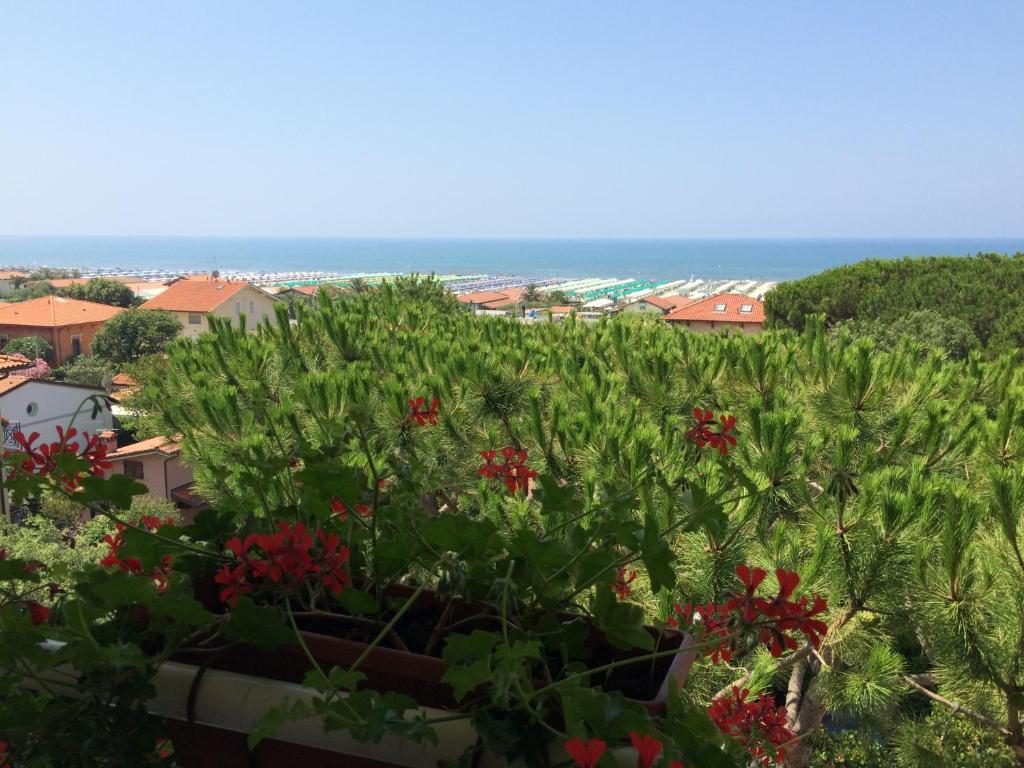 Hotel Il Caravaggio - Marina di Pietrasanta - Vacanzelike