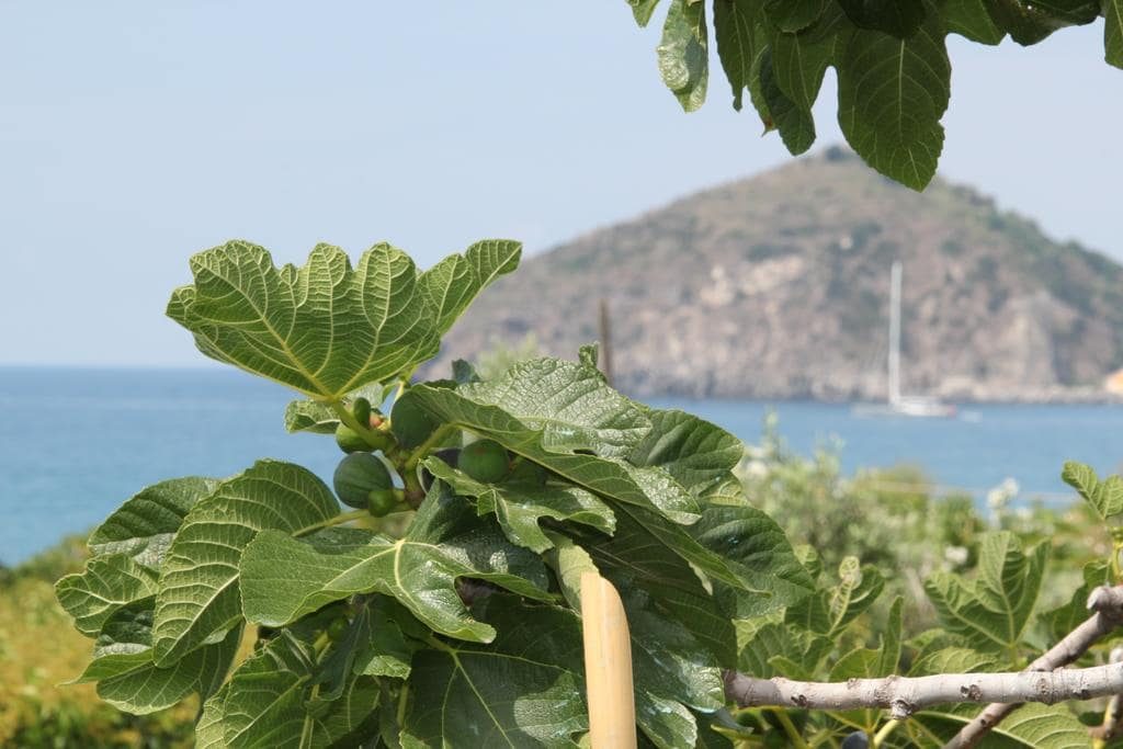 Hotel Maronti Ischia - Barano d'Ischia - Vacanzelike
