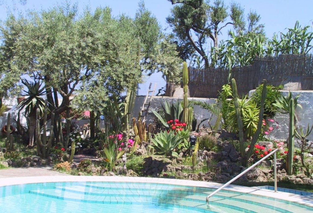 Hotel Monte Tabor Ischia - Casamicciola Terme - Vacanzelike
