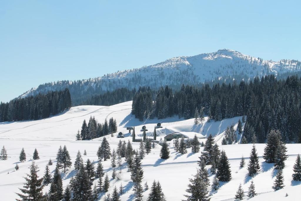 Hotel Romanda Lavarone - Lavarone - Vacanzelike