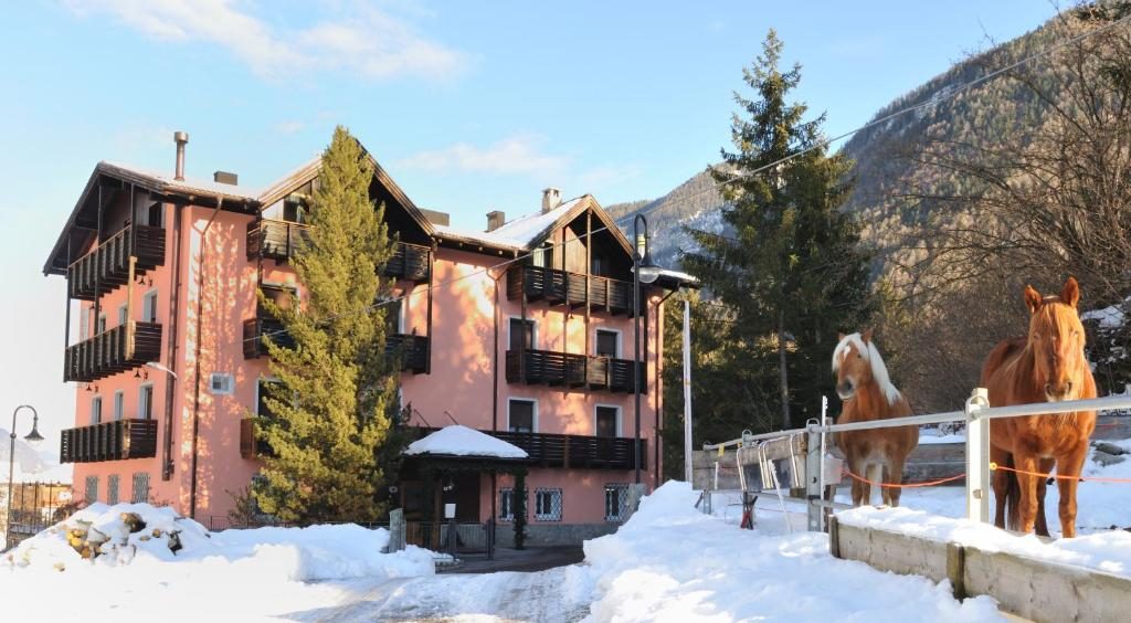 Park Hotel Bellevue Dimaro - Dimaro - Vacanzelike